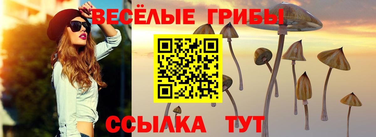 Галлюциногенные грибы мицелий Будённовск